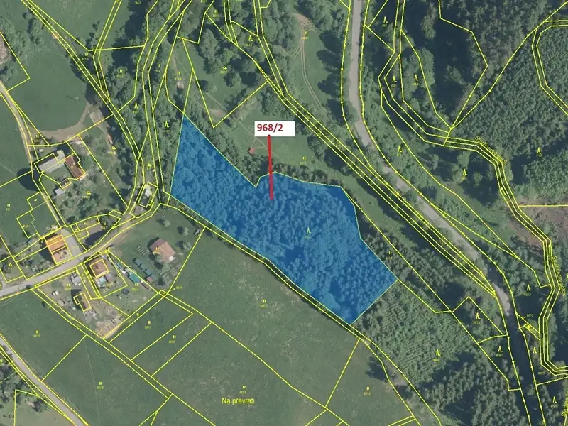 Dražba lesa 10319 m², Stružinec – náhled fotky 2