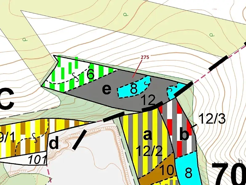 Dražba lesa 10319 m², Jeviněves – náhled fotky 3