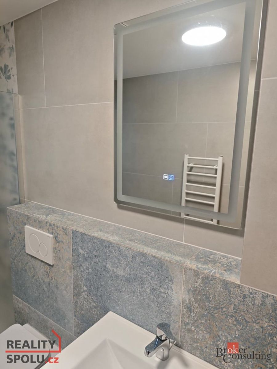 Pronájem bytu 1+kk 25 m² – fotografie 4