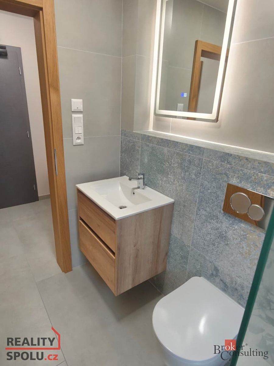 Pronájem bytu 1+kk 25 m² – fotografie 5