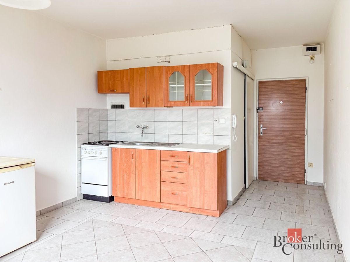 Pronájem bytu 1+1 35 m²