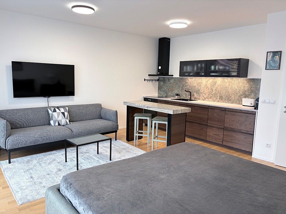 Pronájem bytu 1+kk 45 m²