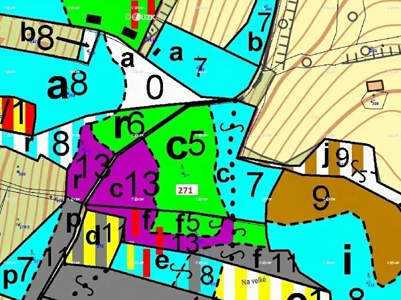 Dražba lesa 8937 m², Zálezly – náhled fotky 3