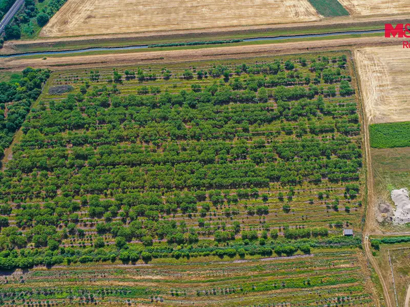 Prodej pole 12442 m², Rakvice – náhled fotky 2