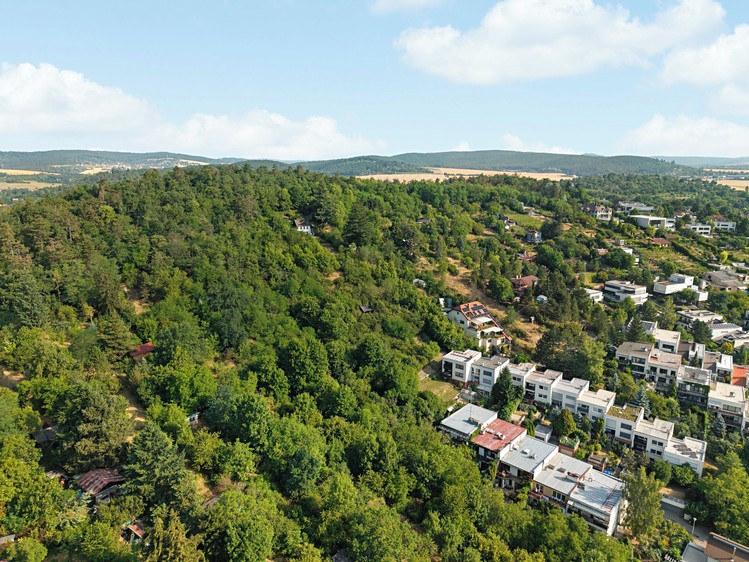 Prodej pozemku, 2 516 m² (9 z 15)