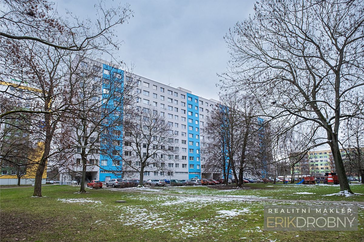 Pronájem bytu 1+1 38 m²