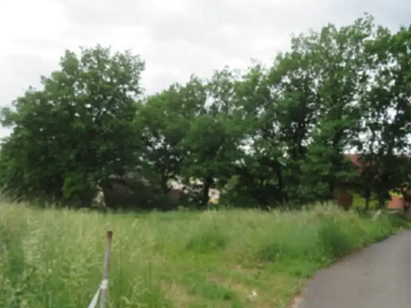 Dražba pozemku 1175 m², Rybnice – náhled fotky 2