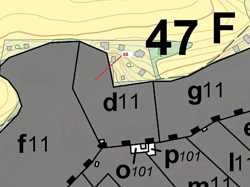 Dražba lesa 8962 m², Sýkořice – náhled fotky 3