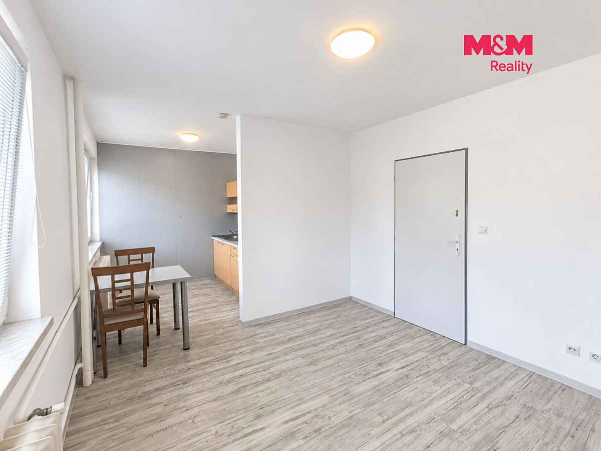 Pronájem bytu 1+kk 32 m² – fotografie 4