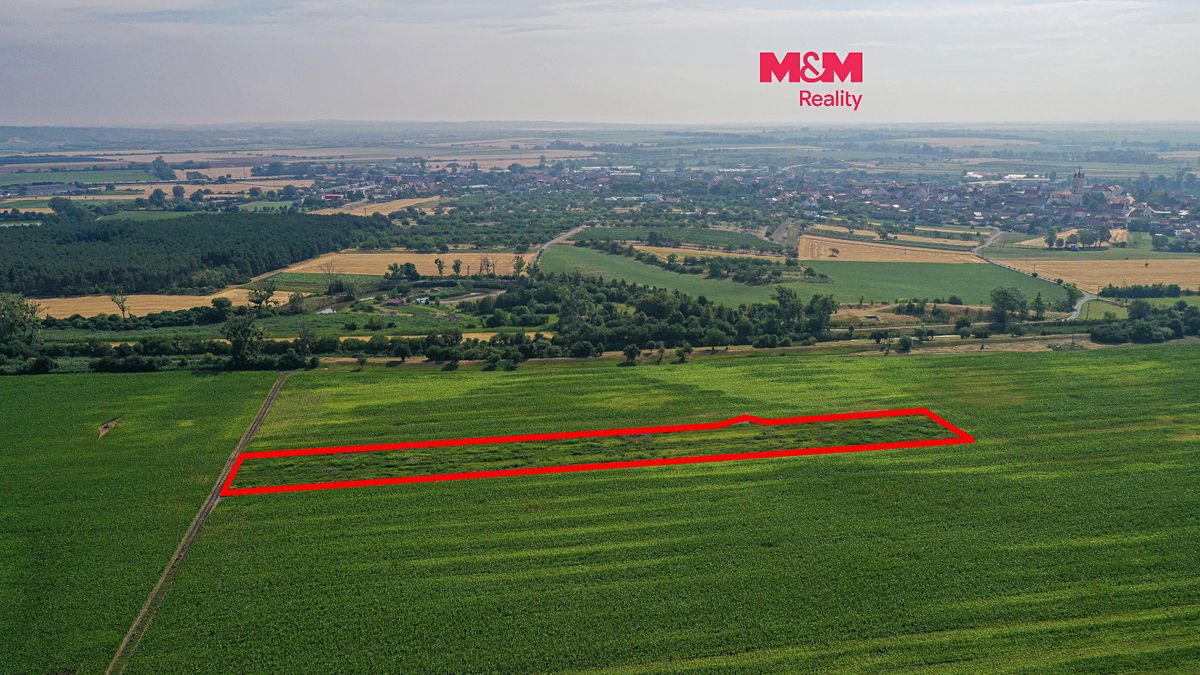 Prodej pole 9227 m², Podivín – fotka 1 z 3