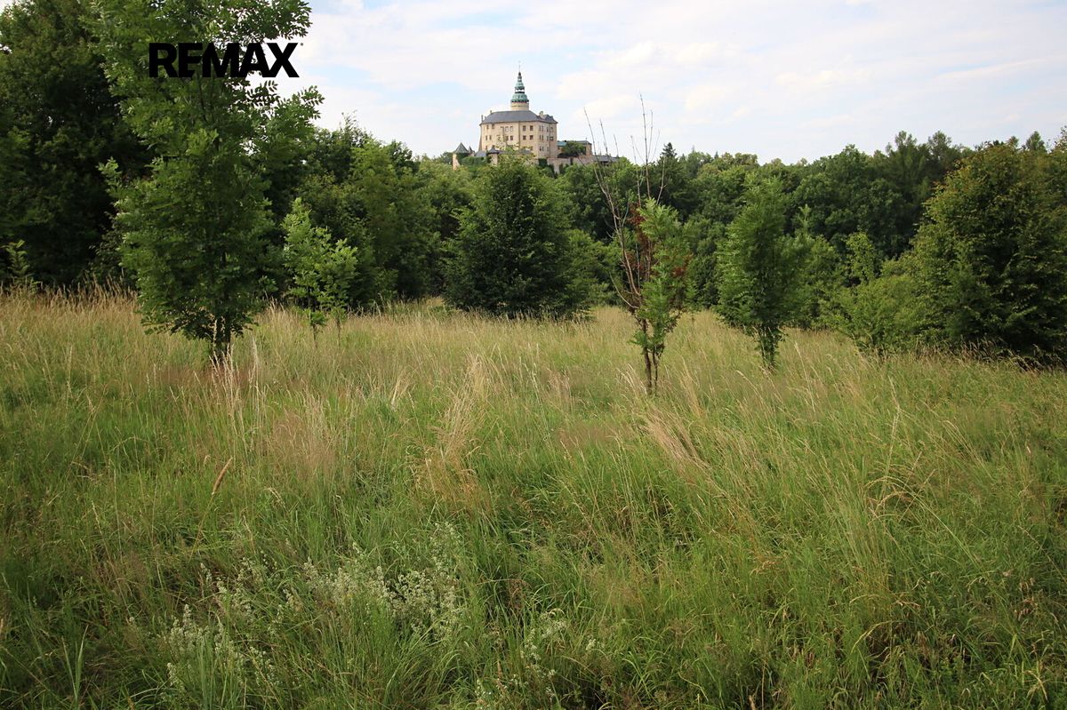 Prodej louky 25331 m²