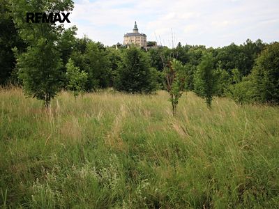 Prodej louky 25331 m²