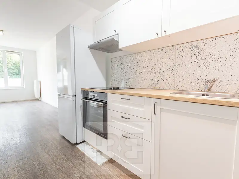 Pronájem bytu 2+kk 43 m², Praha – náhled fotky 2