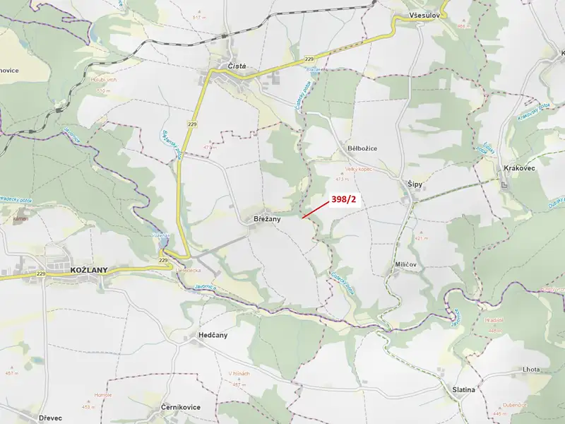 Dražba lesa 63 m², Břežany – náhled fotky 1