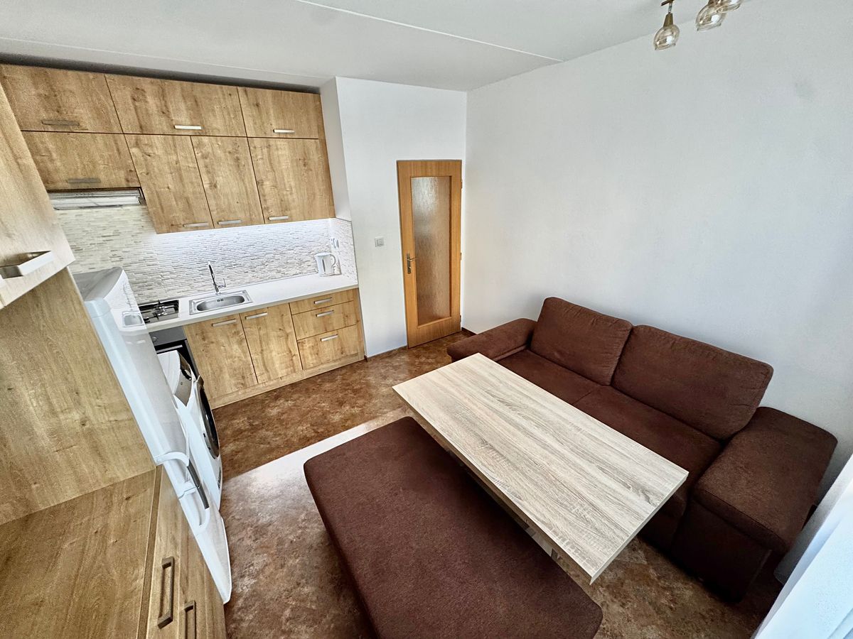 Pronájem bytu 1+1 39 m² – fotografie 4