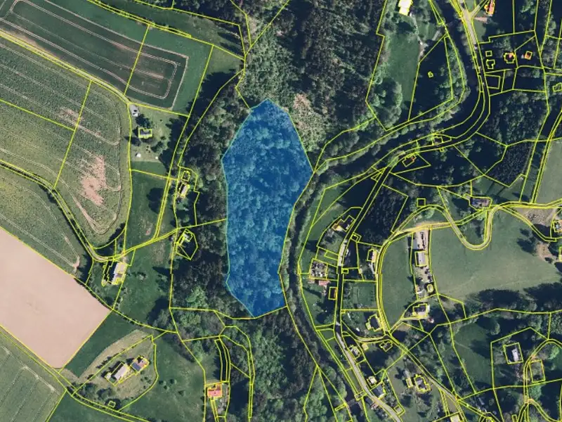 Prodej lesa 19893 m², Klášterec nad Orlicí – náhled fotky 3