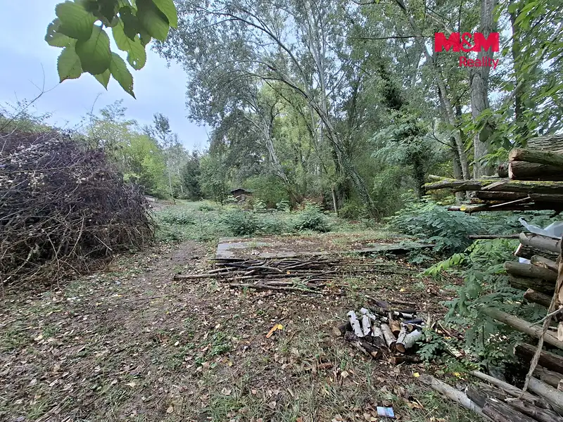 Prodej lesa 815 m², Šakvice – náhled fotky 2