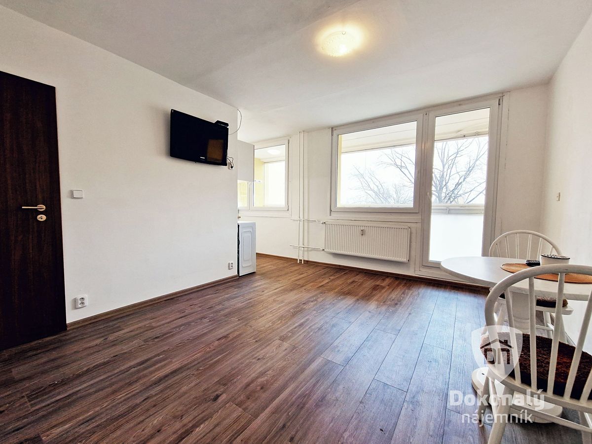 Pronájem bytu 1+kk 32 m² – fotografie 4