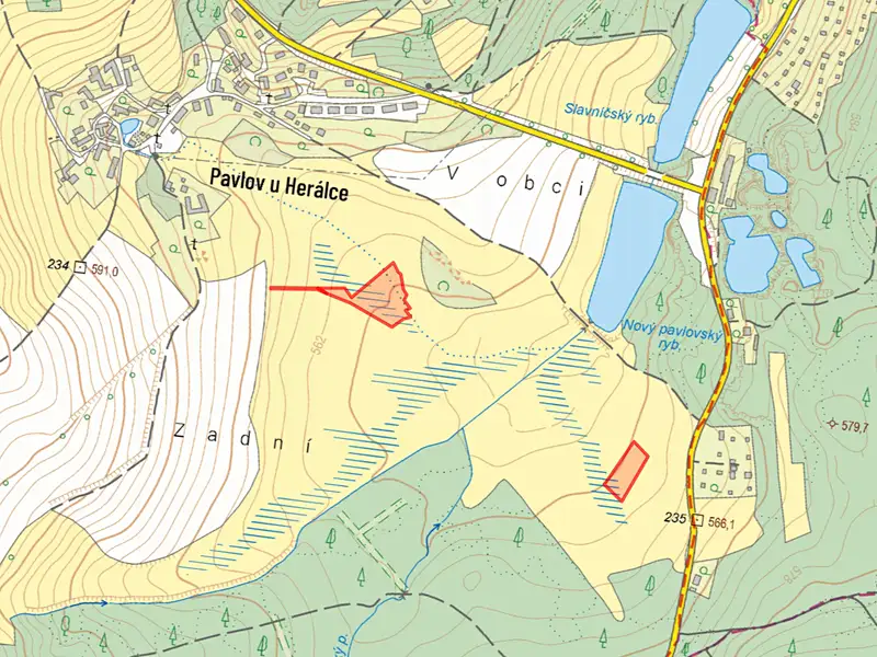 Prodej louky 7771 m², Herálec – náhled fotky 2