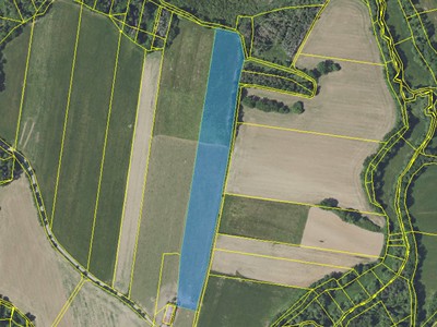 Ділянка на продаж, 24 469 м² (2 з 3)