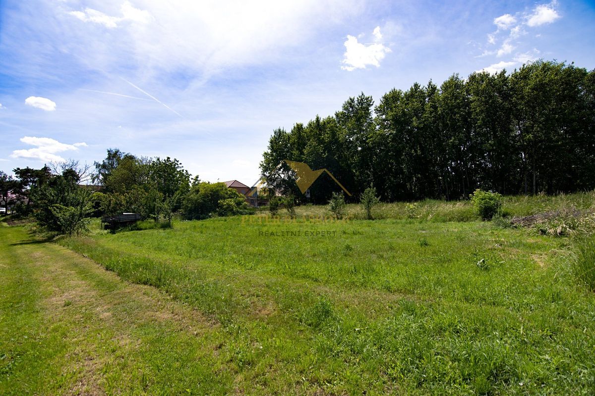 Prodej rodinného domu 125 m², pozemek 2783 m² – fotografie 5