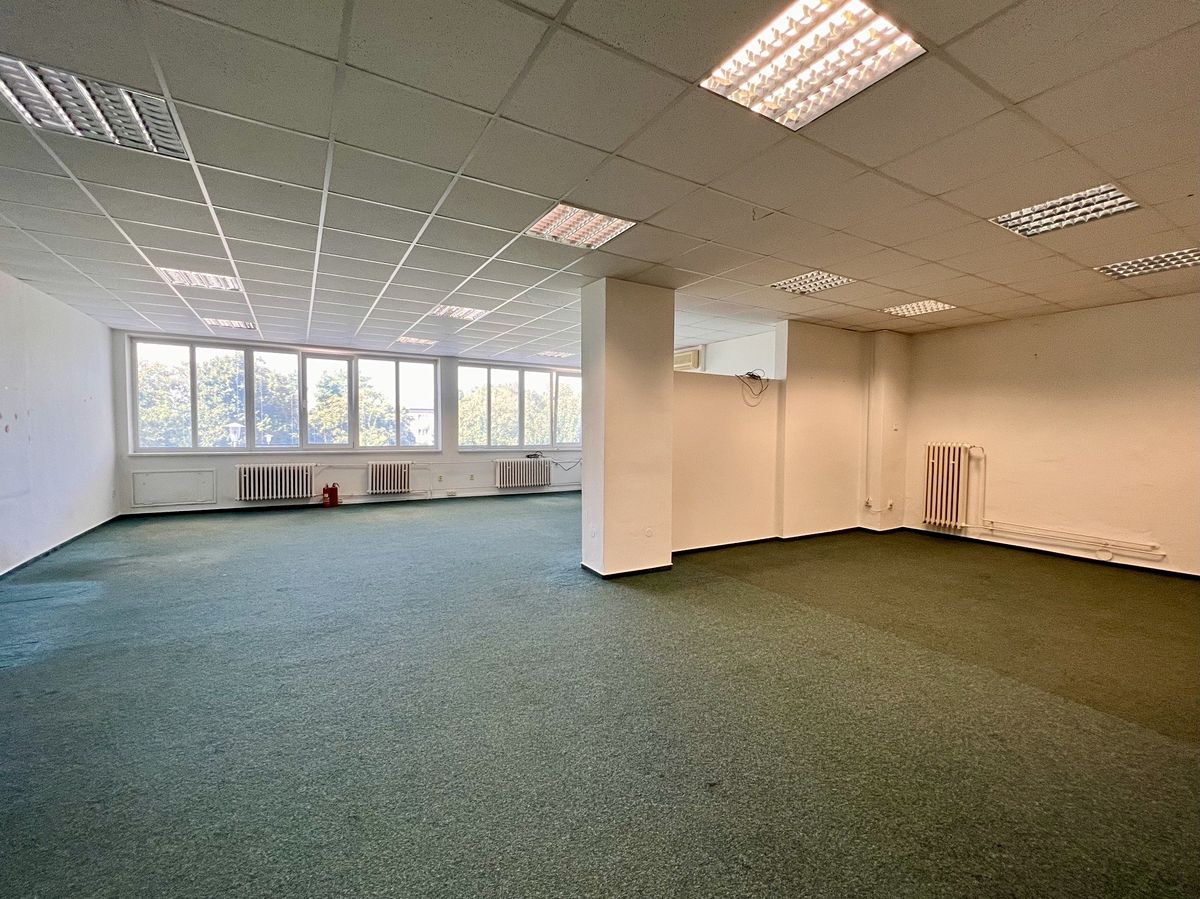 Pronájem kanceláře 250 m² – fotografie 3