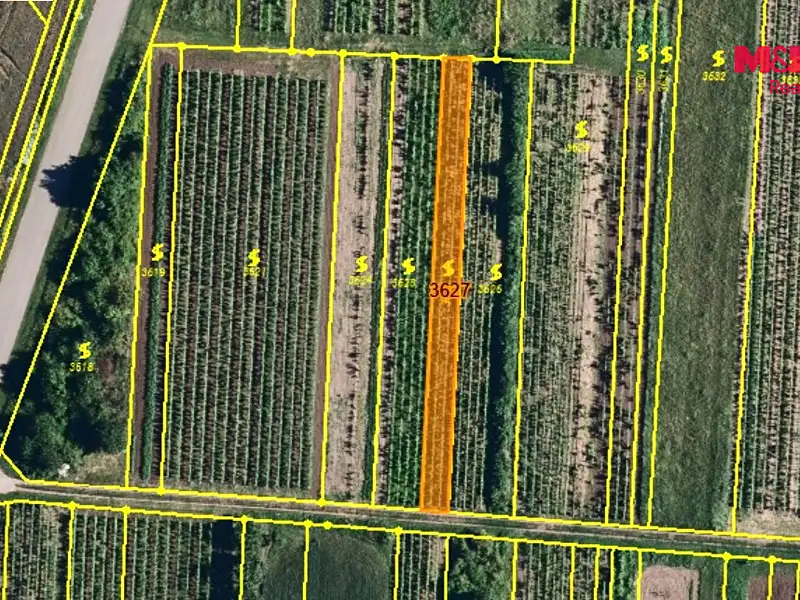 Prodej sadu, vinice 400 m², Moravský Žižkov – náhled fotky 2
