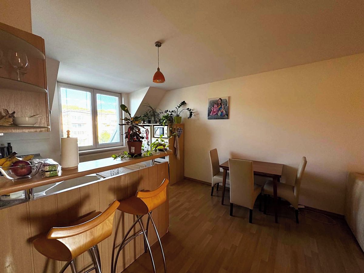 Pronájem bytu 2+kk 53 m² – fotografie 5