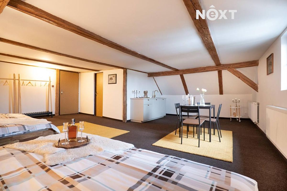 Prodej vícegeneračního domu 600 m², pozemek 452 m² – fotografie 4