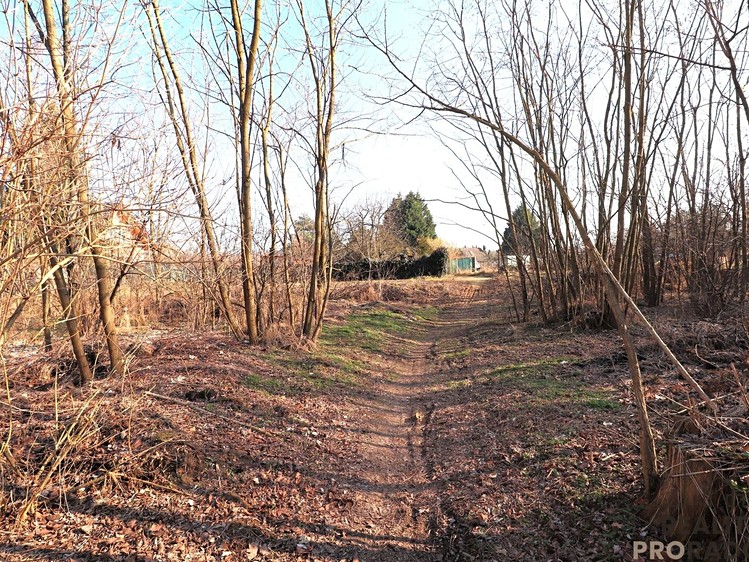 Grundstück zum Kauf, 1.283 m² (10 von 13)