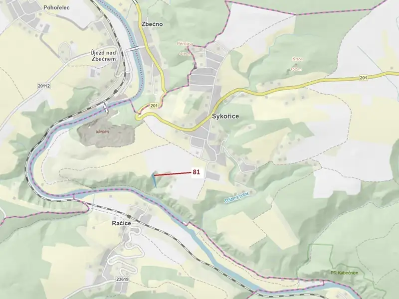 Dražba lesa 1816 m², Sýkořice – náhled fotky 1