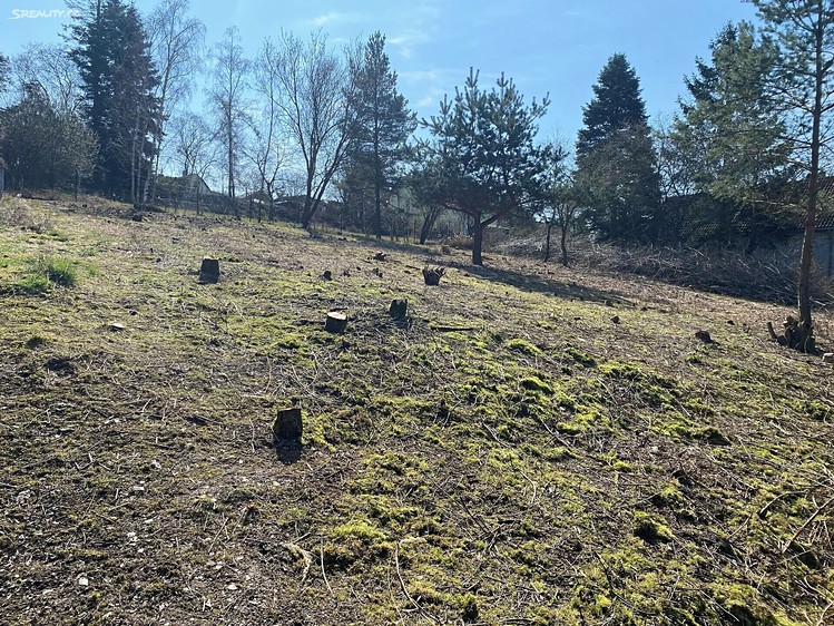 Grundstück zum Kauf, 1.291 m² (5 von 9)