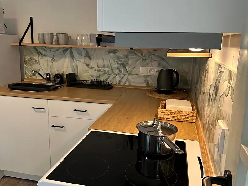 Pronájem bytu 1+1 40 m², Příbraz – náhled fotky 3