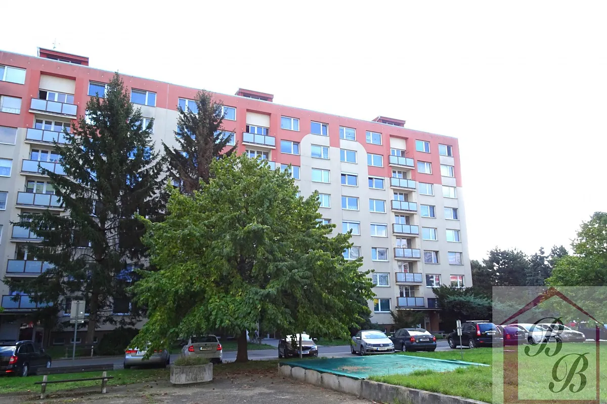 Fotka 26 z 26
