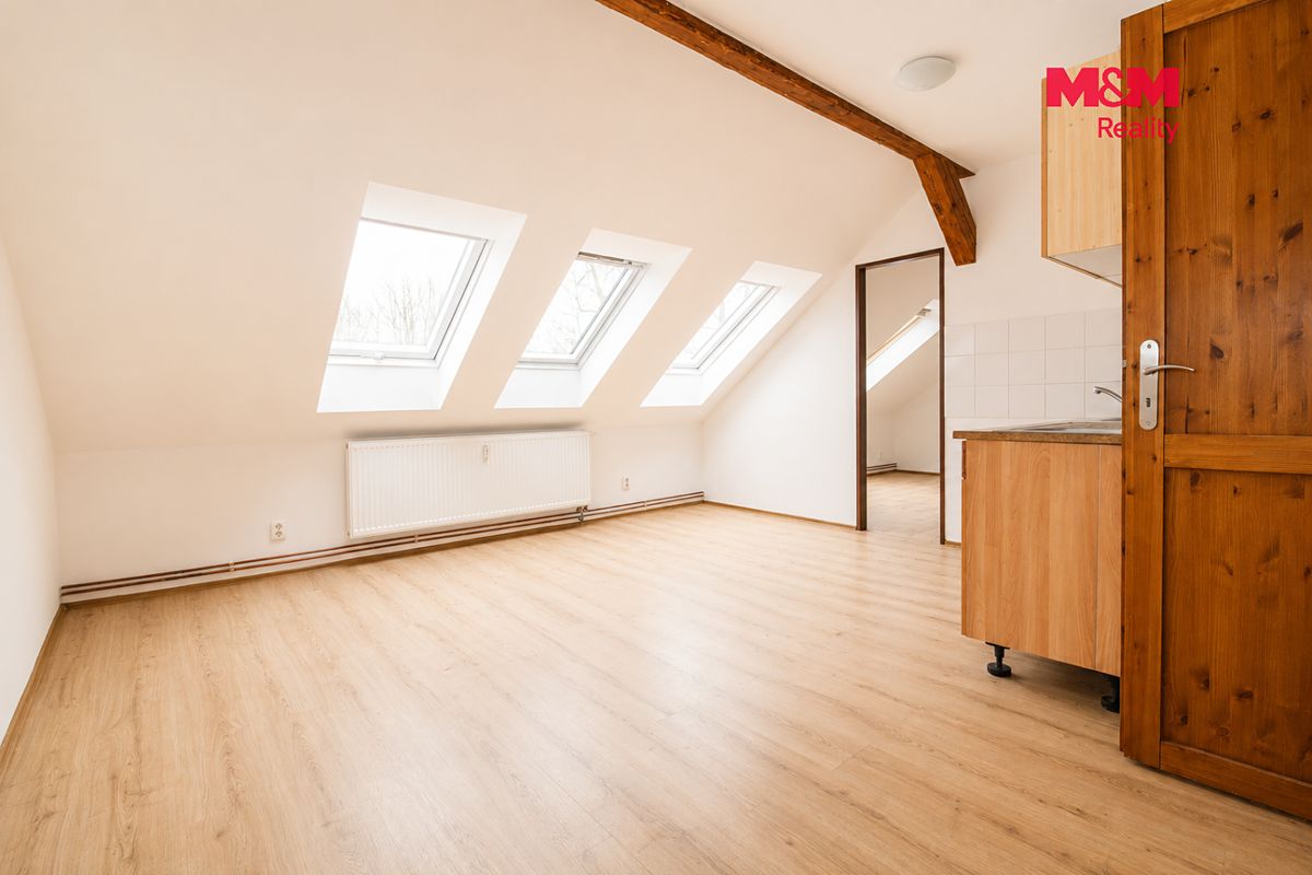 Pronájem bytu 1+1 43 m² – fotografie 5