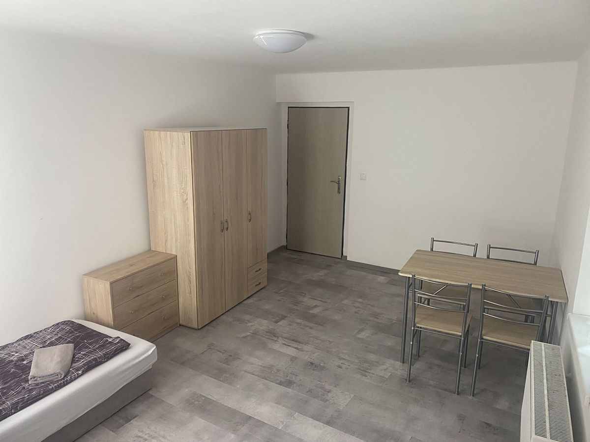 Pronájem bytu pokoje 18 m² – fotografie 5