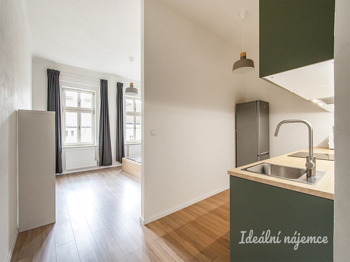 Pronájem bytu 1+kk 33 m² – fotografie 5