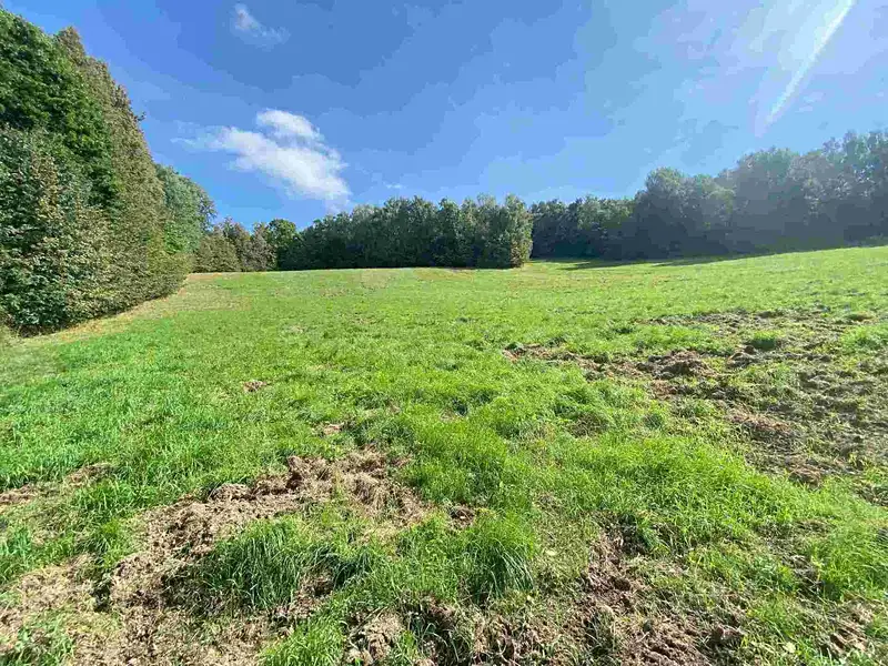 Prodej pozemku 10593 m², Sobotín – náhled fotky 2