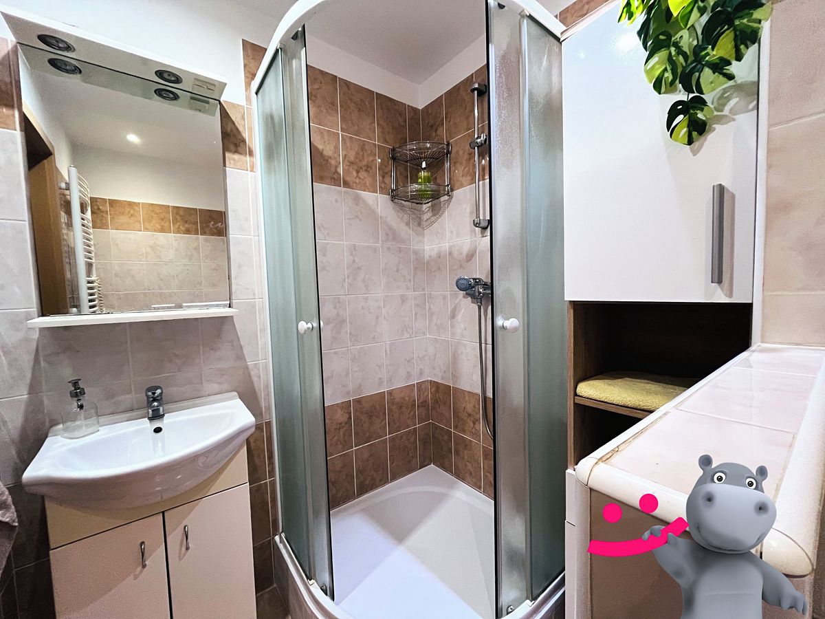 Pronájem bytu 1+kk 35 m² – fotografie 5