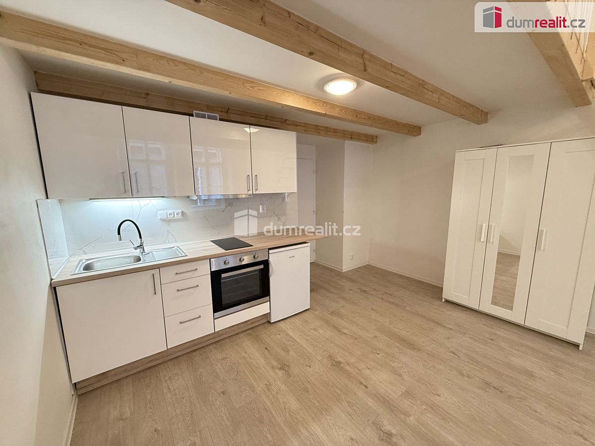 Pronájem bytu 1+kk 48 m²