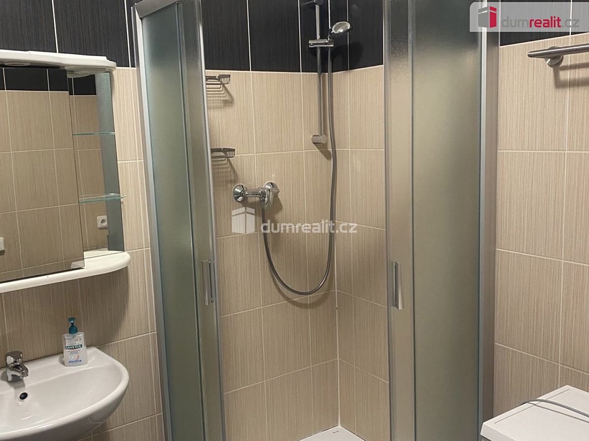Pronájem bytu 1+kk 35 m² – fotografie 5