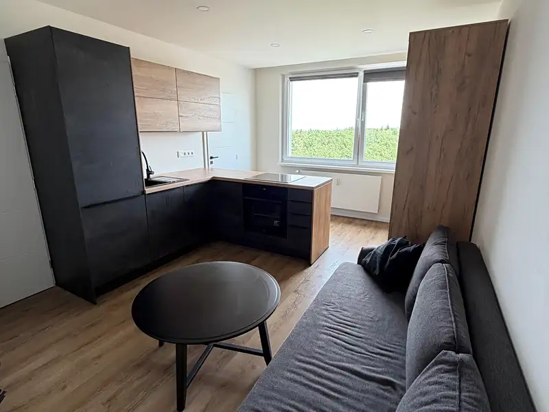 Prodej bytu 1+kk 30 m², Praha – náhled fotky 3