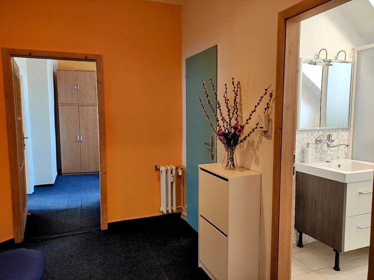 Pronájem komerčního prostoru, 228 m² (5 z 8)