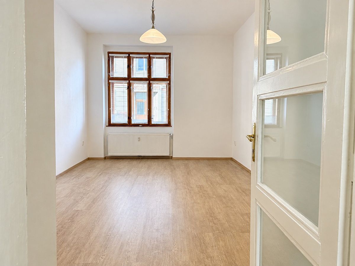 Pronájem bytu 1+1 45 m² – fotografie 2