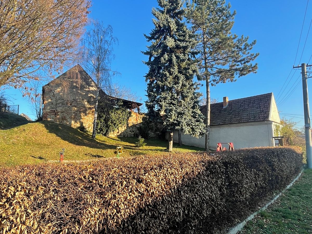 Prodej rodinného domu 100 m², pozemek 337 m² – fotografie 3