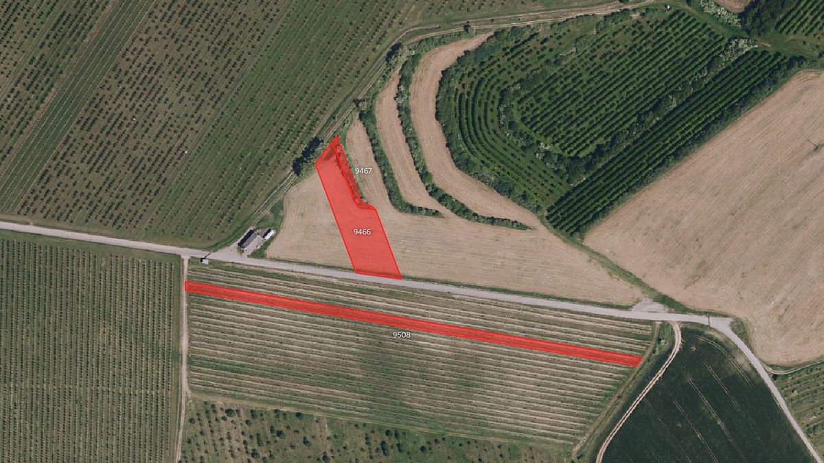 Prodej pole 10259 m² – fotografie 2