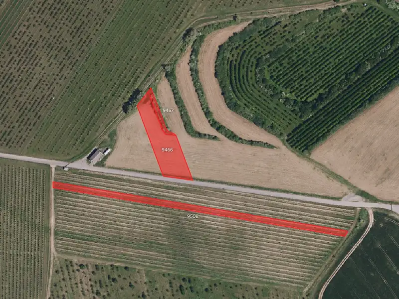 Prodej pole 10259 m², Kobylí – náhled fotky 2