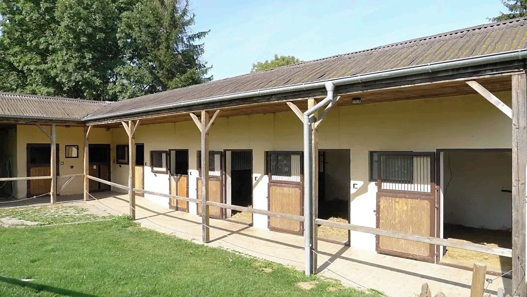 Prodej zemědělské usedlosti 200 m², pozemek 50000 m² – fotografie 3