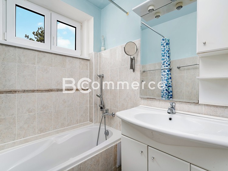 Prodej domu, 270 m² (18 z 50)