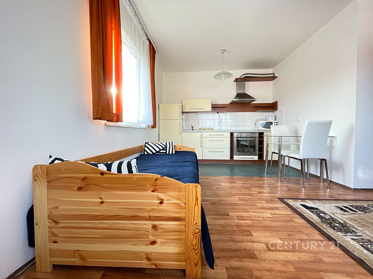 Pronájem bytu 1+kk 43 m² – fotografie 3